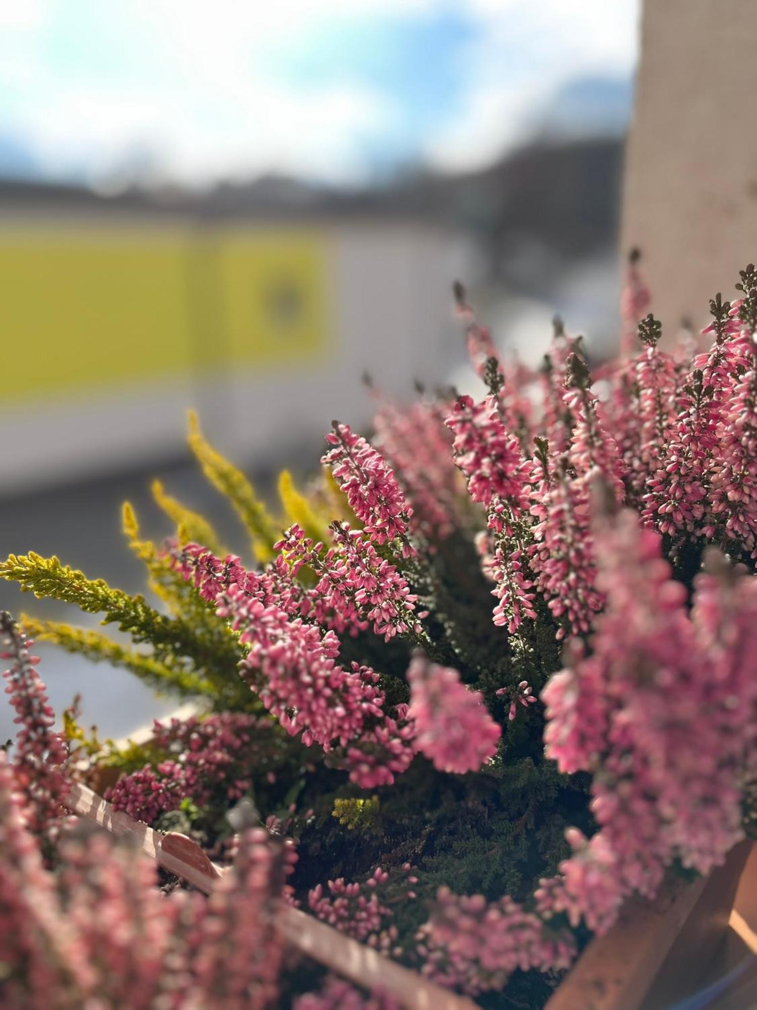 Vila Dravce Dış mekan fotoğraf
